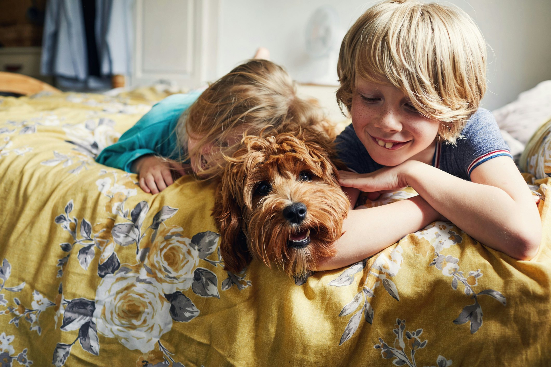 thinking-of-fostering-a-pet?-heres-what-your-family-needs-to-consider-first