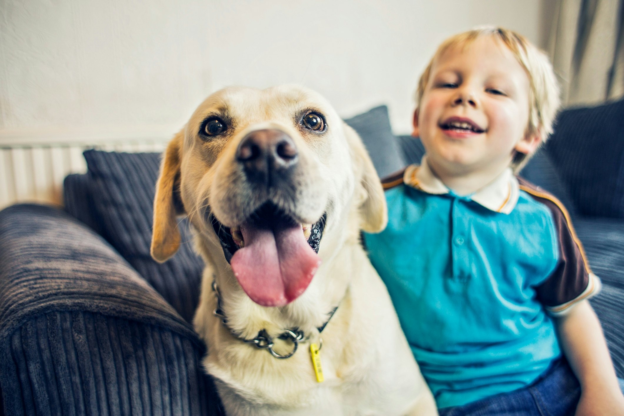 a-canine-expert-reveals-how-to-tell-if-your-dog-*actually*-loves-your-kid
